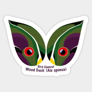 Wood Duck Eyes Sticker